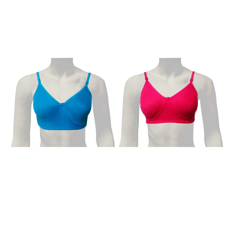 Knitted T-Shirt Bra For Women | Blue & Pink Colour (pack of 2) - Dayana